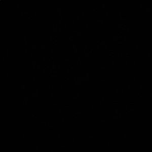 Meet your Posher, Trevor